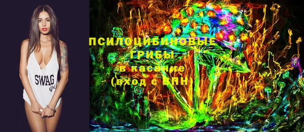 шишки Пересвет